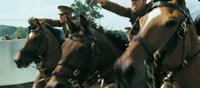 War Horse